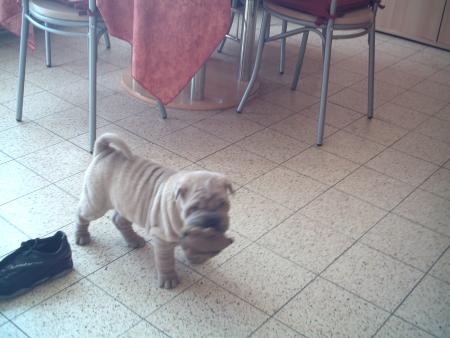 Tampis on prend le nounours.